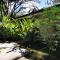 Casa Remy - Walk to the Beach and stay in a private compound! Pool, Kitchen, AC, Wi-Fi