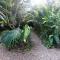 Wild Wonderful Family-Friendly Jungle Like Oasis in San Ignacio Belize