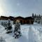 Carpathians View