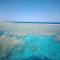 Sunny sea