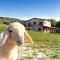 Fattoria Bio LA Ceccoli
