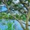 Lake View Nature Home - 锡吉里亚