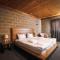 Alpine Lounge Boutique Hotel - 卡兹贝吉