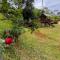 POUSADA JOSÉ DA ROSA - 圣安东尼奥-杜皮尼亚尔