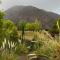 Viví Potrerillos