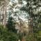 The Floating Forest - دنمارك
