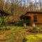 Dragonfly Cabin - Bryson City