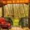 Dragonfly Cabin - Bryson City
