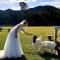 Fig Tree Farm B&B Highvale-Farmstay near Brisbane!