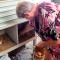 Fig Tree Farm B&B Highvale-Farmstay near Brisbane!