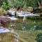 Fig Tree Farm B&B Highvale-Farmstay near Brisbane!