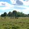 Cosy & Central Brockenhurst Flat, 2BR