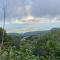 Tranquilidad en el campo Rega