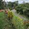 Tranquilidad en el campo Rega