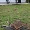 Tranquilidad en el campo Rega