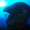 Green Island Ocean Rhythem dive B&B 綠島海韻民宿 Green Island Ocean Rhythem dive B&B 綠島海韻民宿