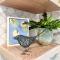 159 Bluebill Ct