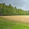 1 floor, Pocono Pond house with Game Room - 托比汉纳