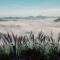 Cloud9 & Cloud View Glamping