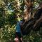 Jungle Safari Lodge- Serenity in the Wild - Sauraha