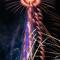 Exclusive Front Row Seats to Burj Khalifa Fireworks from Penthouse Level, Downtown Dubai - Dubaj