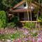 The Nest House - Paj