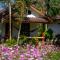 The Nest House - Paj