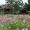 The Nest House - Paj