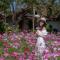 The Nest House - Paj