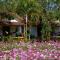 The Nest House - Paj