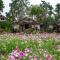 The Nest House - Paj