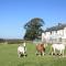 Cob Cottage - Tregaron