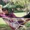 Buena Vida Social Club