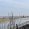Am Kutterhafen 1 - NORDLIEBE - Fedderwardersiel