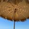 Bandol A Bandol cha cha cha - Appartement - 邦多勒