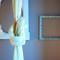 Le Stanze di Corteinfiore