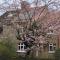 Willow Cottage