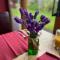 Willow Tree Cottages