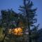 Whispering Pines Cottages Treehut By Bastiat Stays - Mandi