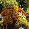 Whispering Pines Cottages Treehut By Bastiat Stays - Mandi