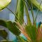 Tenerife Experience Hostel