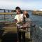 Harborview Inn & RV Park