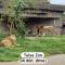 Modish 1BR BOK, Near Blue Dome, Pets Allowed - 塔尔萨