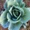 Marsaxlokk Farmstay Equine Centre - 比尔泽布贾
