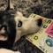 Marsaxlokk Farmstay Equine Centre - 比尔泽布贾