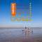 11 The Dunes - 布朗顿