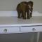 Ocean Elephant Beach Apartment LONG TERM