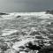 Eagle Way - Port Renfrew