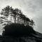Eagle Way - Port Renfrew