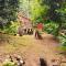 Ecoscape Jamaica - Lavish 1-br cottage by the river